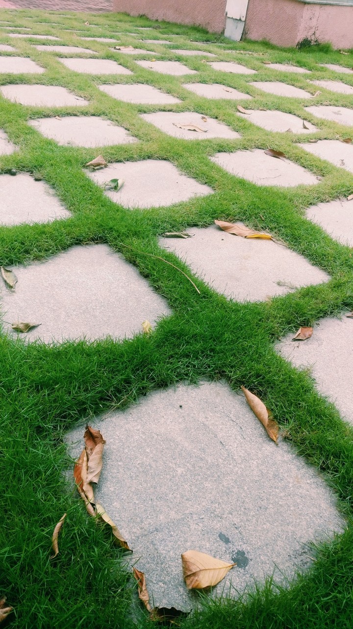 Grass Tiles