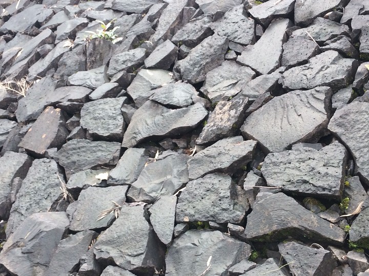 stone