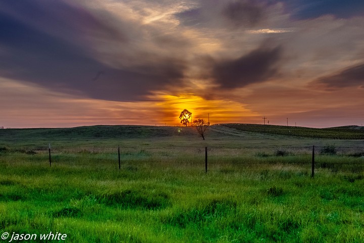 Fall Sunset Cali style
