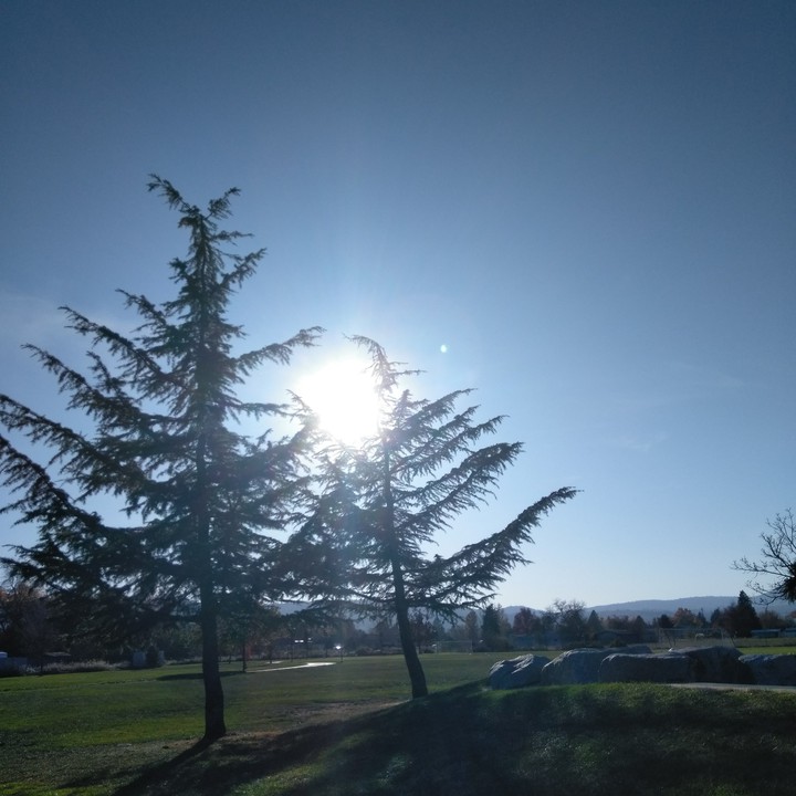 sunny day