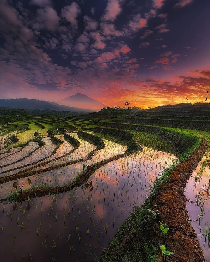 Natural Beauty Reflection