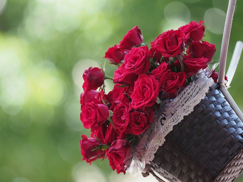 #The Weekend Roses for You ❤