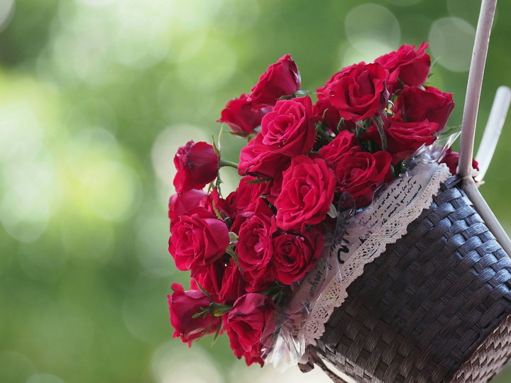 #The Weekend Roses for You ❤