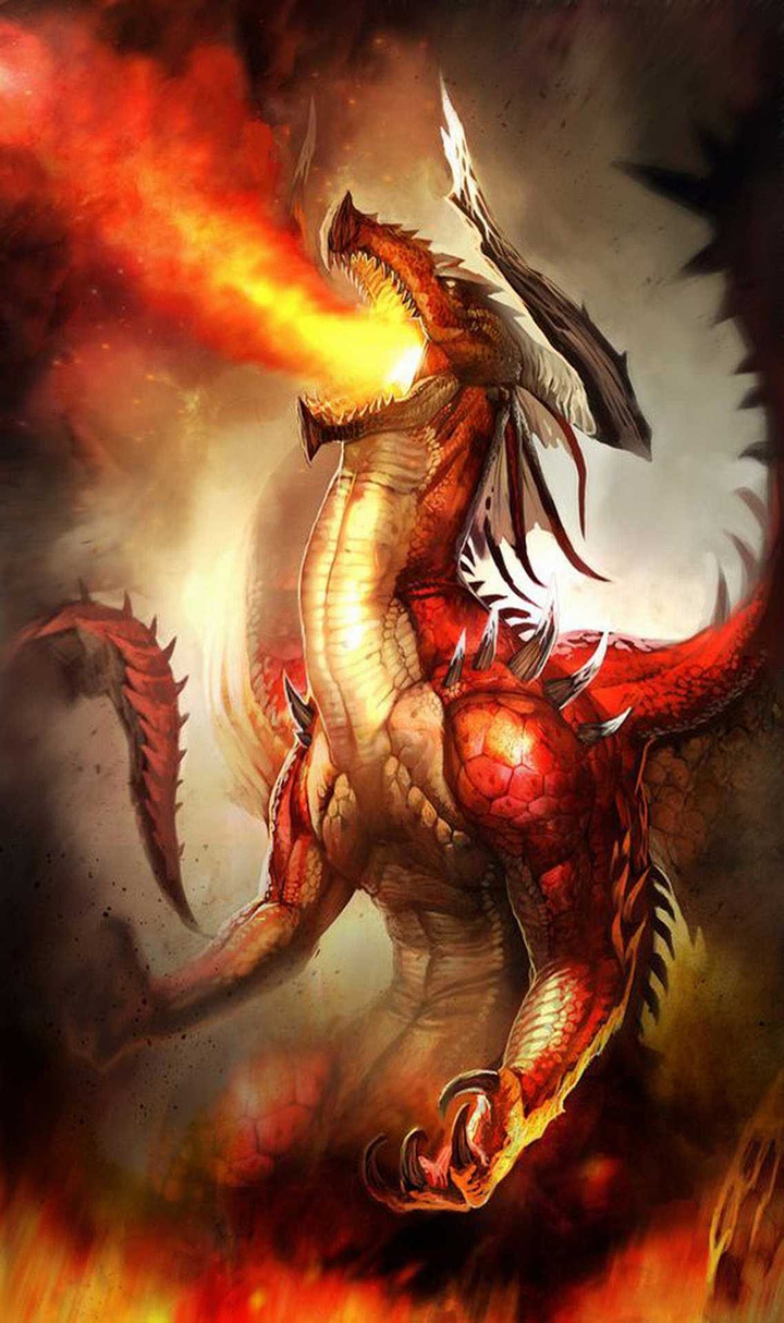 fire dragon