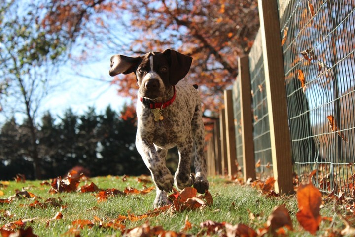 Running free...