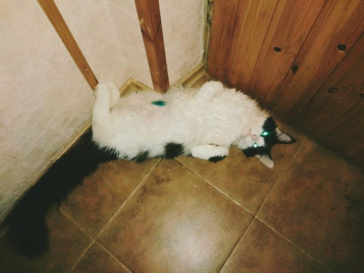 Засранец