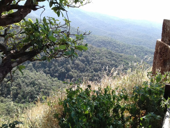 Ghat section