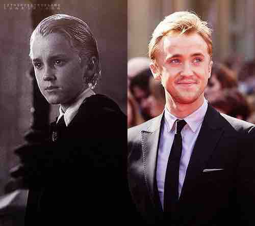 Draco Malfoy Tom Felton