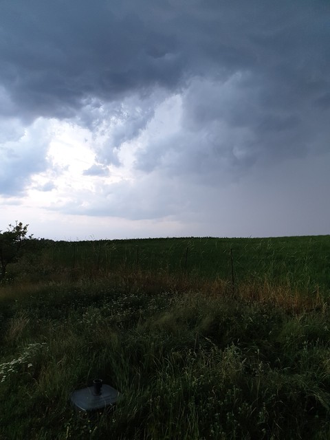 Wetter