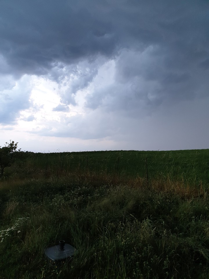 Wetter