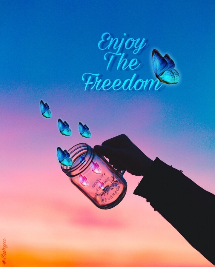 freedom