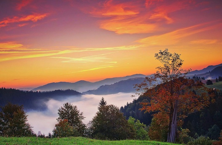 landscape