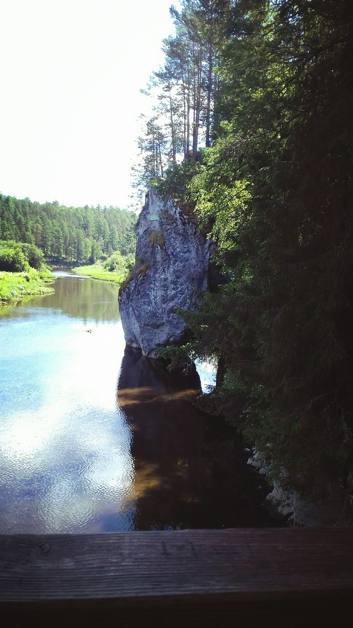 серга