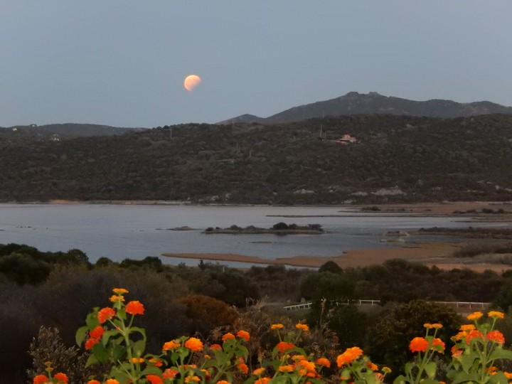 Sardegna