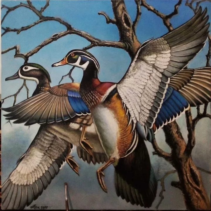 Aisa,oil painting ,Duck
