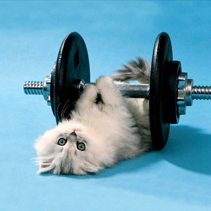 ❤️Work out❤️