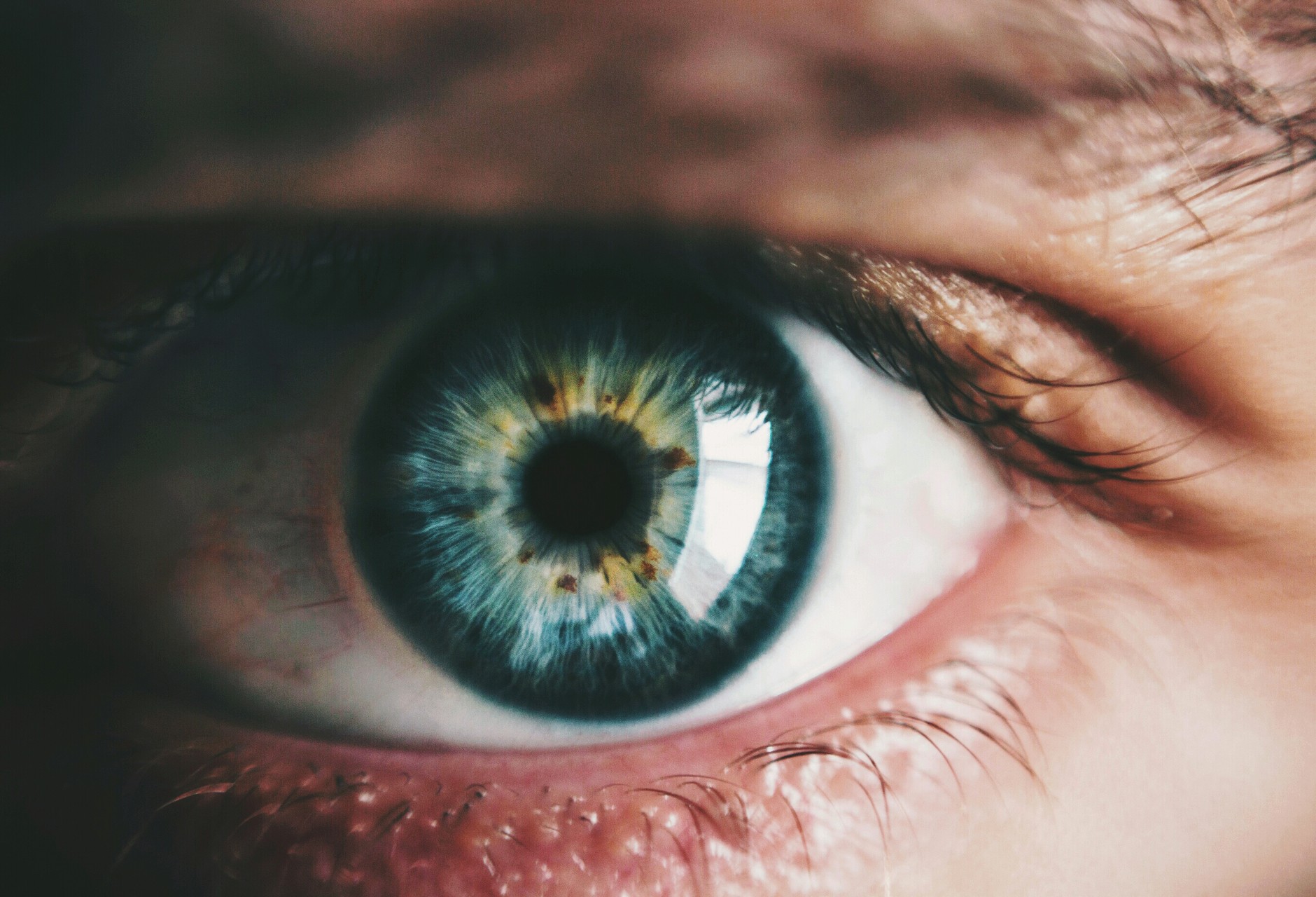 look into the eyes