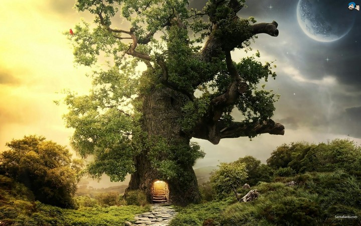tree