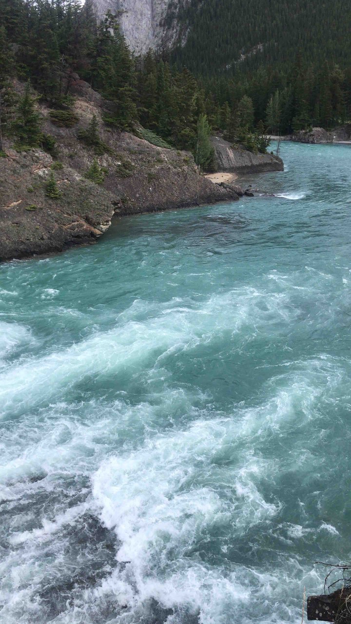 Pure water