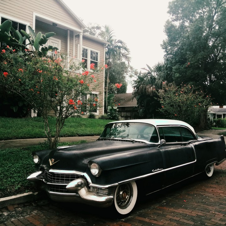 vintage