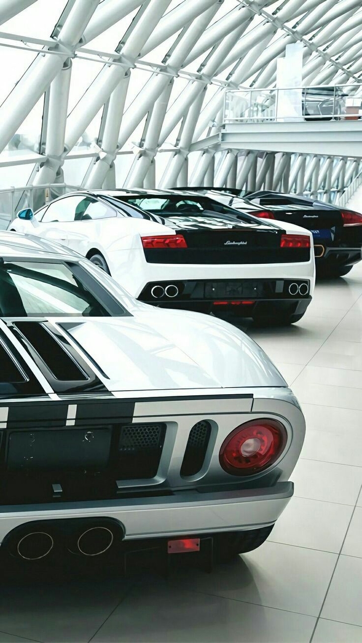 Lamborghini whites