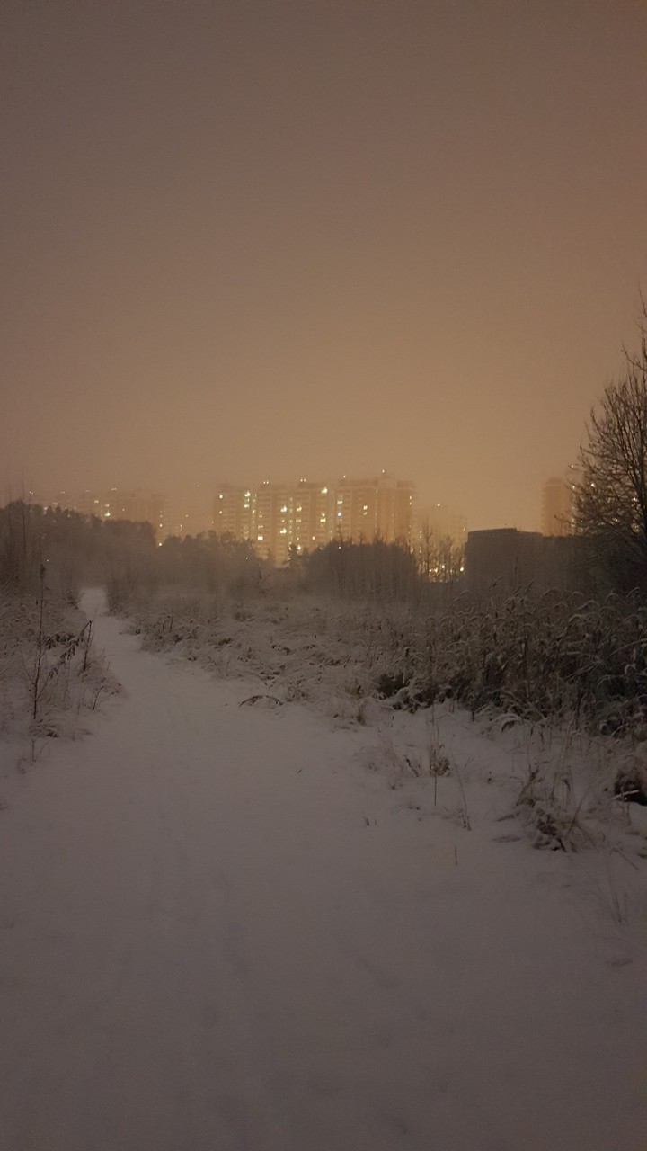 рассвет
