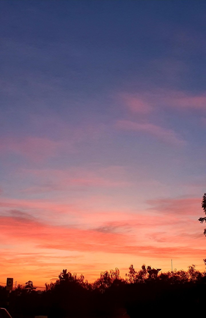Mexican Sunrise