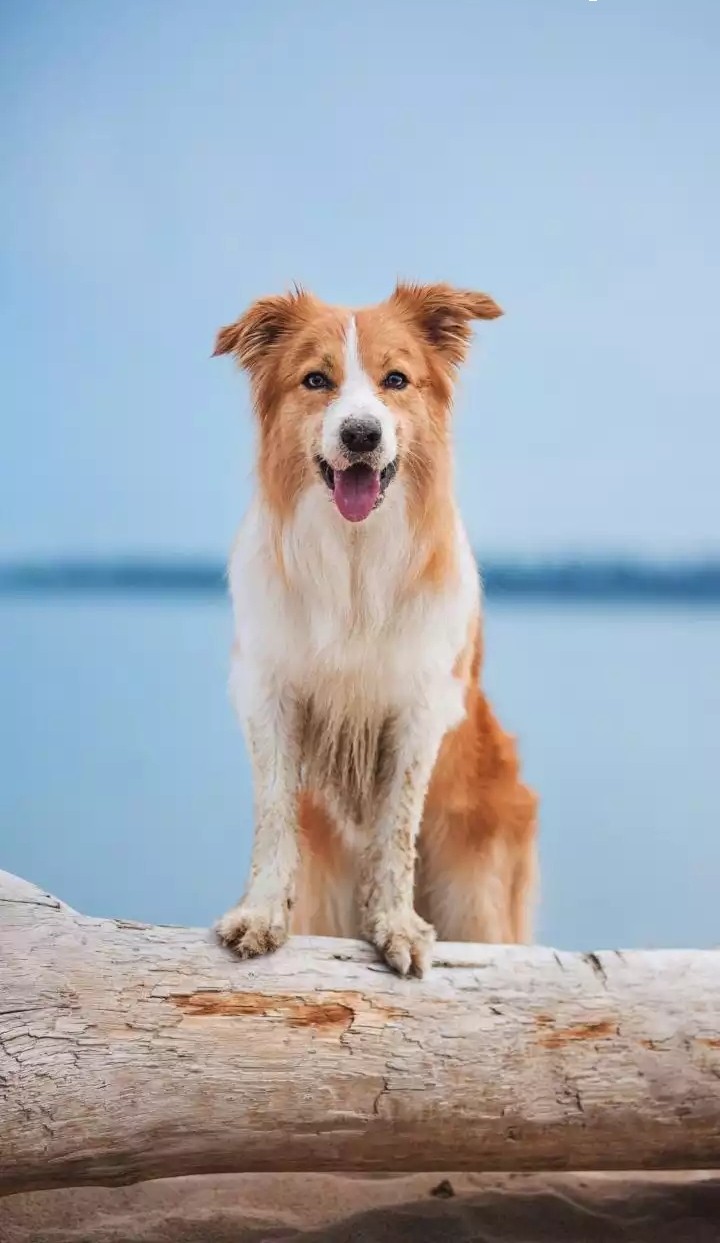 ?