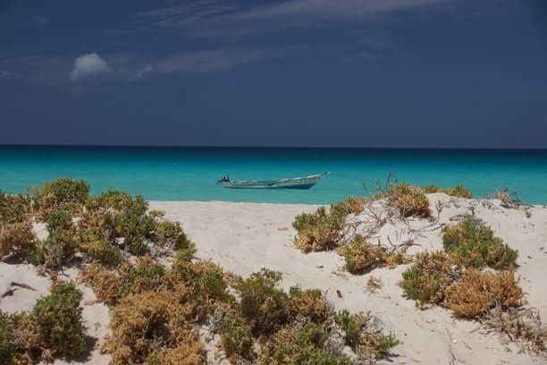 Beach شاطئ