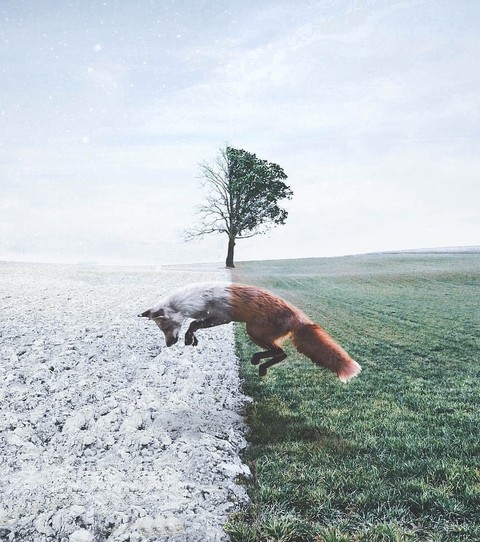 sky, grass वॉलपेपर
