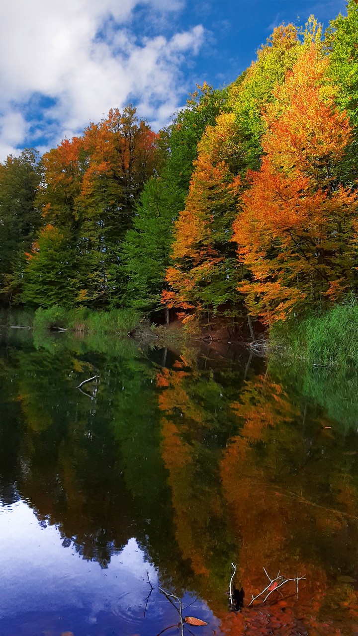 autumn