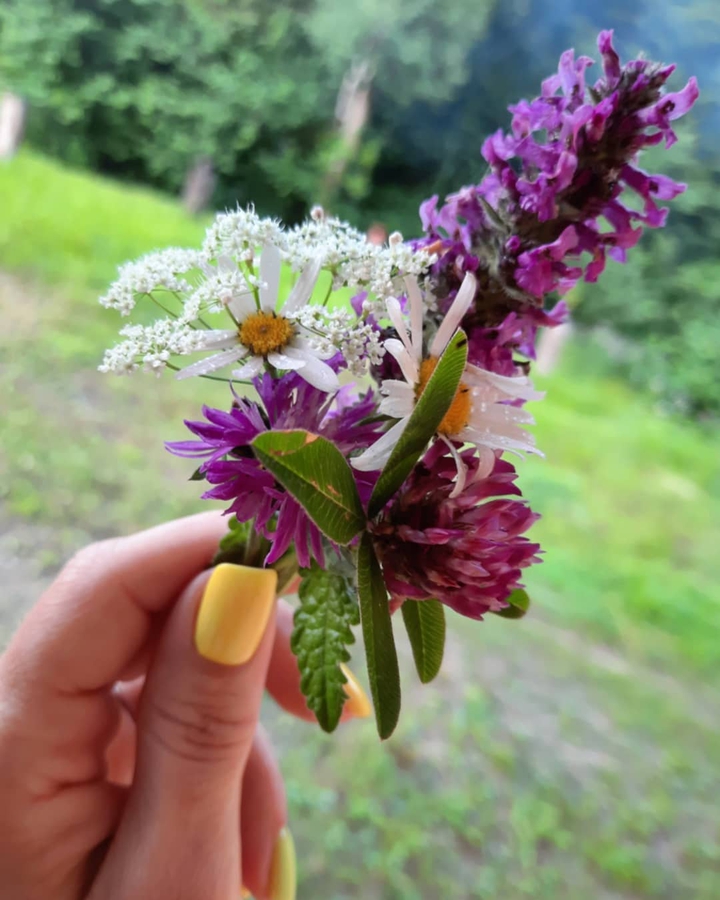 wildflowers