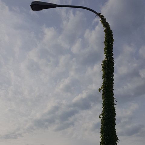Ruhe