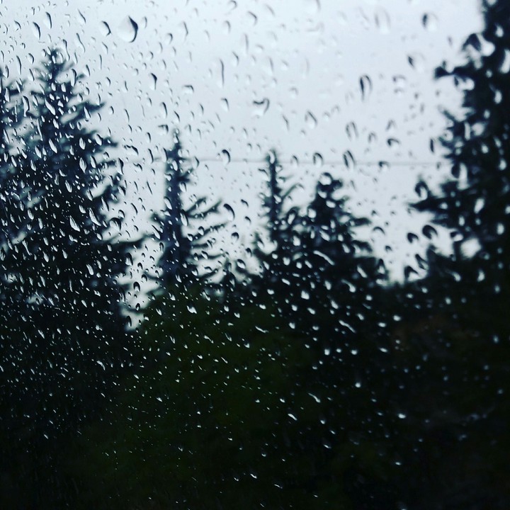 Rain
