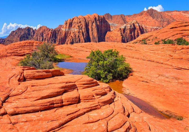 Utah