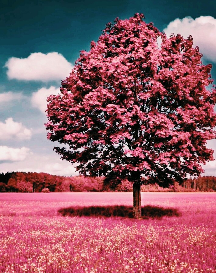 Huzur Veren Yerler