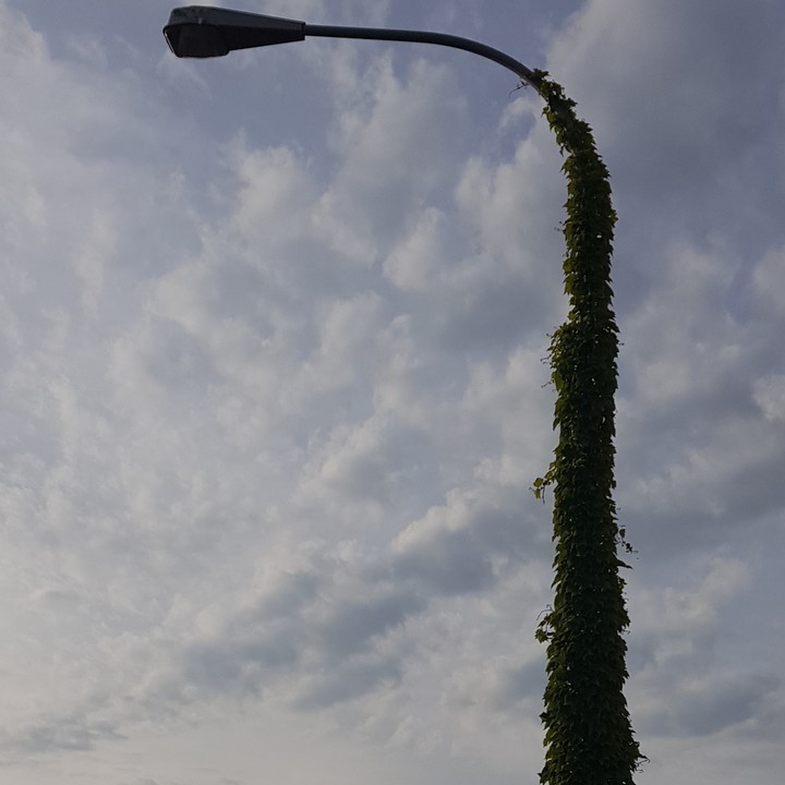 Ruhe