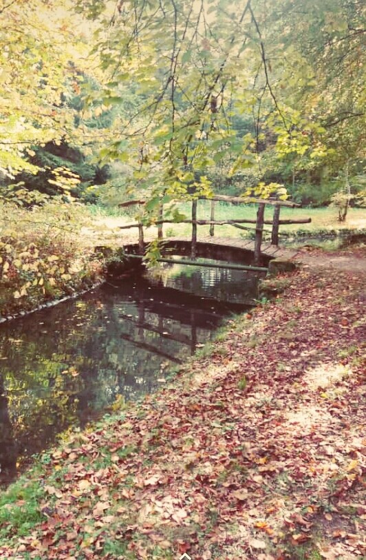 Herbststille