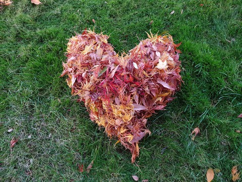 fall