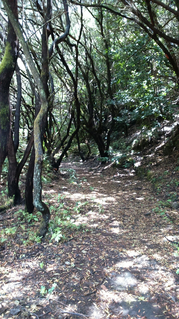 ¿ Y si sigo el camino?