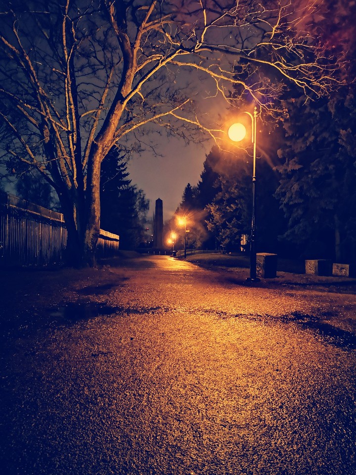 night