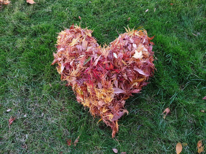 fall