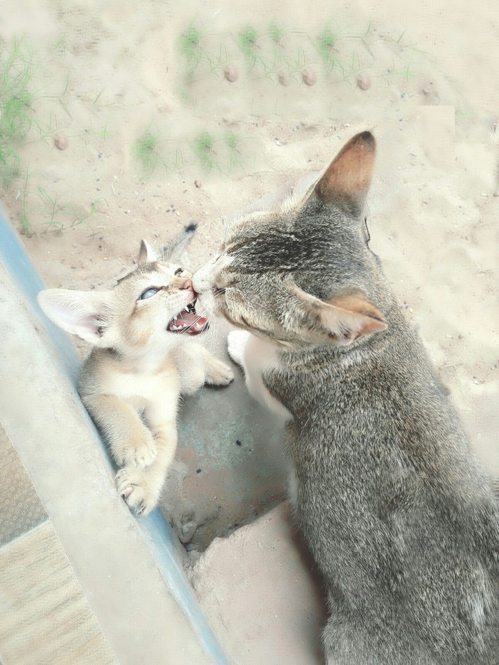 #mother_daughter love