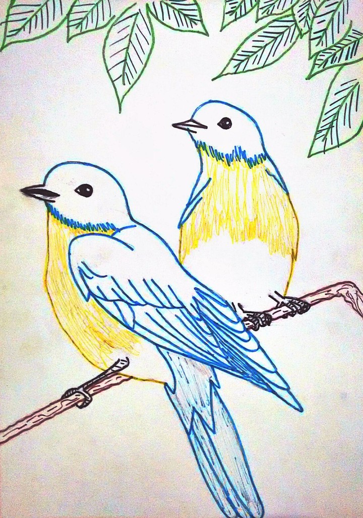 Lovebirds