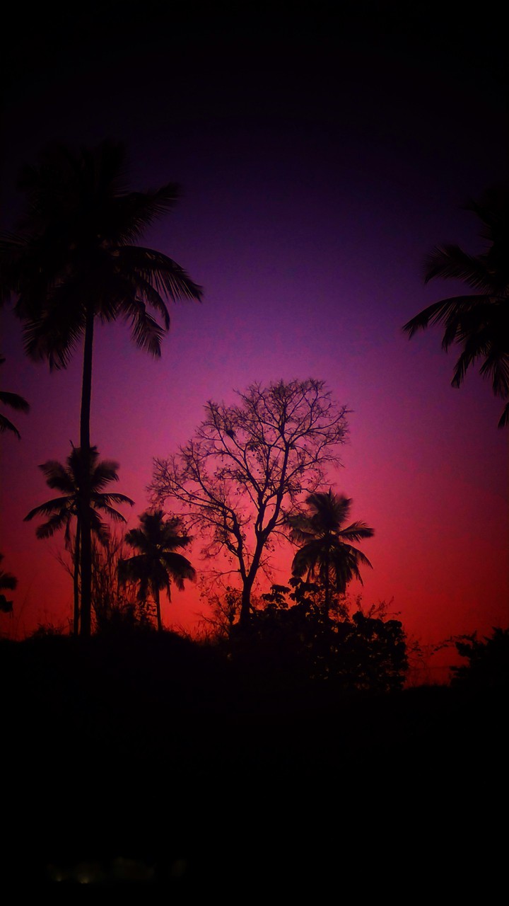 sun set