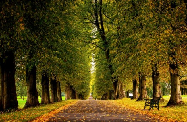 ~ Nature