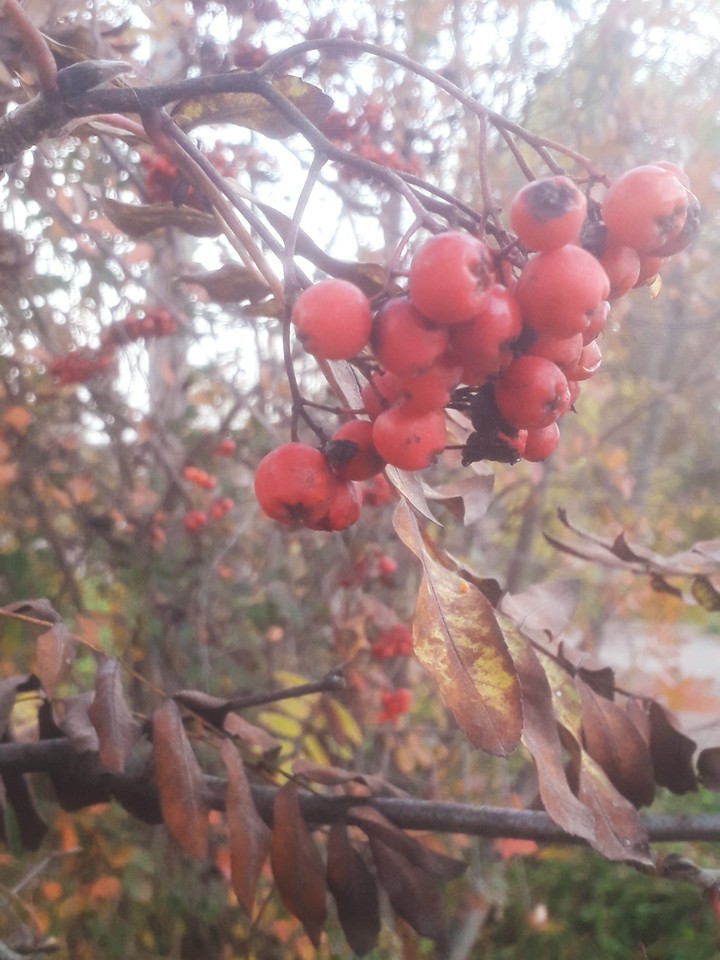 october