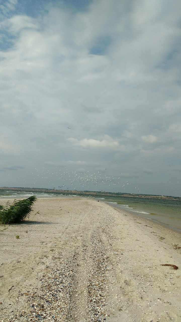 край косы