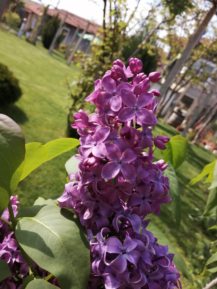spring thingss..