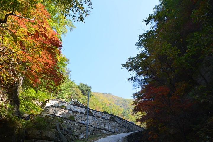 치악산이미지